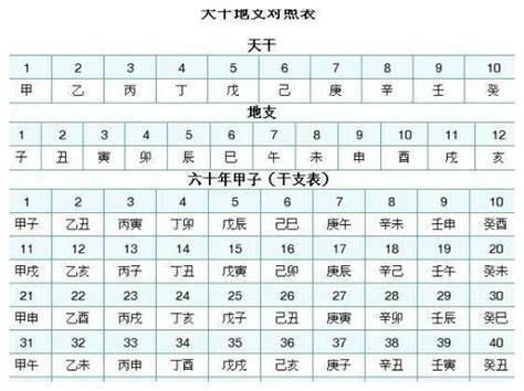 天干地支 算法|时干支怎么计算？